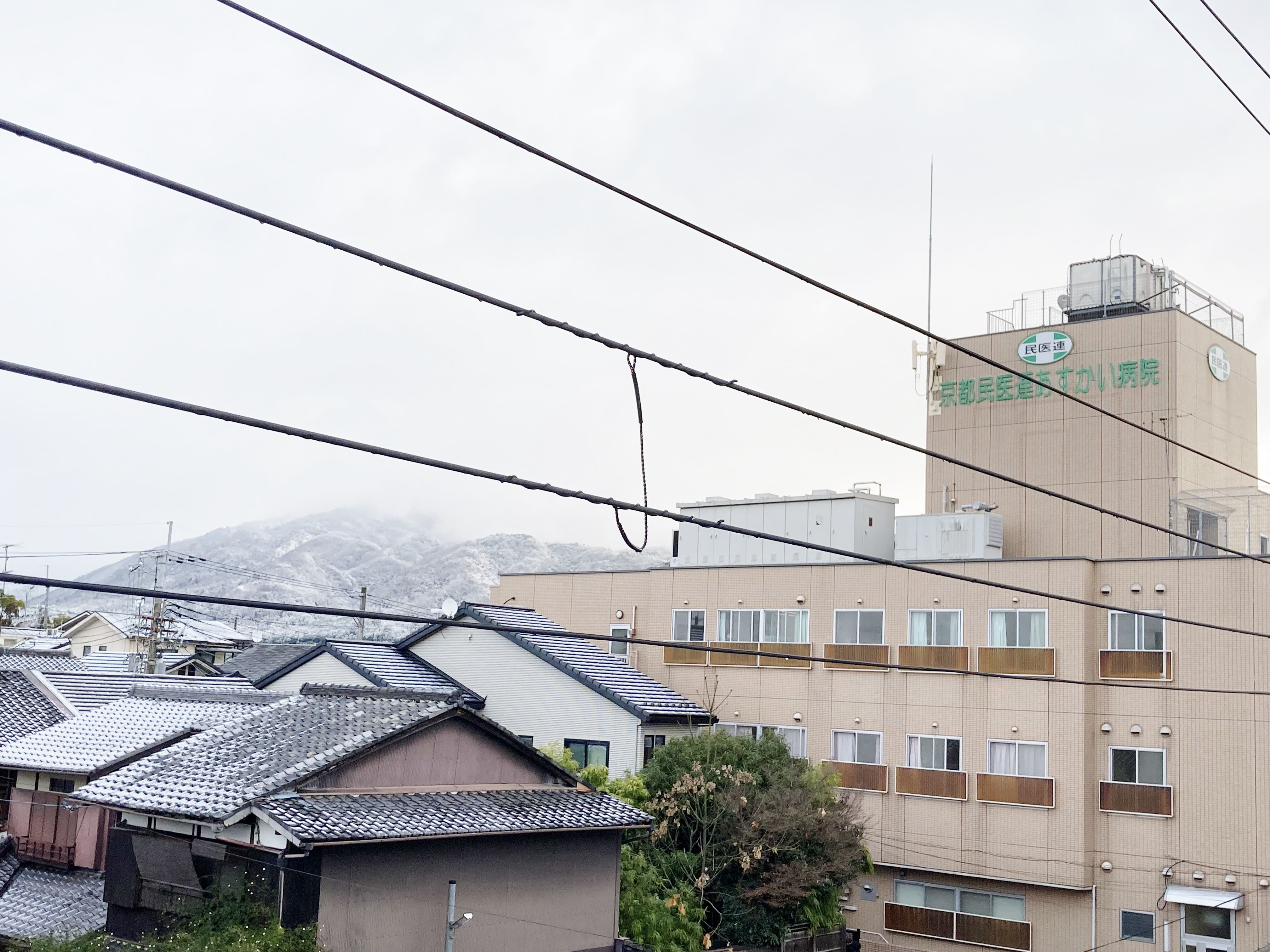 京都も雪化粧