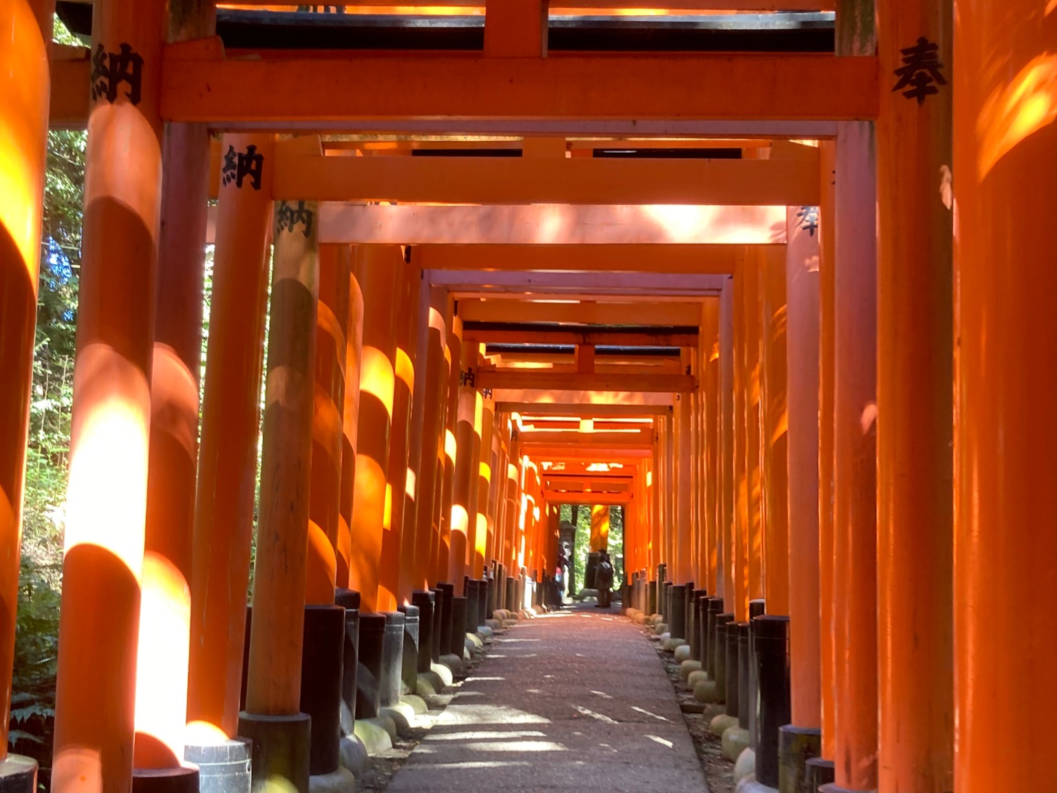 病院近隣の風景